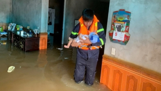 Công an Hà Nội cùng nhân dân gia cố đê chống lũ