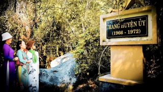 Ký ức Minh Đạm - dấu ấn từ một cây khế