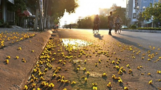 Miền Bắc có mưa dông, mực nước các sông bắt đầu hạ