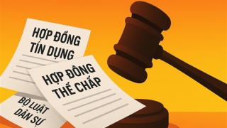 Đắk Lắk: Ngân hàng cho vay, 12 năm sau bị buộc phải trả tiền cho khách