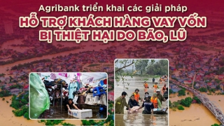 Agribank giảm tới 2%/năm lãi suất cho vay hỗ trợ khách hàng bị ảnh hưởng, thiệt hại do bão lũ