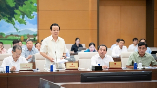 Băn khoăn việc đấu giá khoáng sản bị đẩy lên rất cao nhưng vẫn bị trục lợi