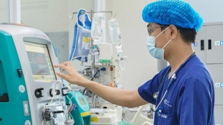 Hai bé sinh đôi 19 tháng tuổi đuối nước thương tâm