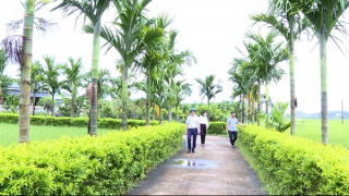 Nông thôn mới làm thay đổi diện mạo nhiều vùng quê xứ Thanh