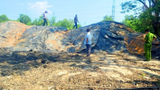 Cần giải pháp bền vững (bài cuối)