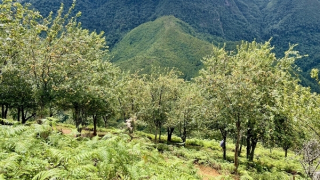 Một thoáng Tà Chì Nhù