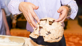 Xung quanh phát hiện bộ hài cốt người 13.000 năm tuổi ở Ninh Bình: Có đúng là một chiến binh?