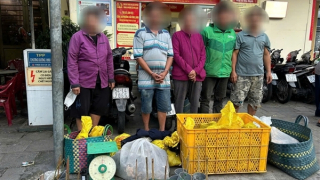 Triệt phá nhóm đối tượng trộm cắp, tiêu thụ chó, mèo số lượng lớn