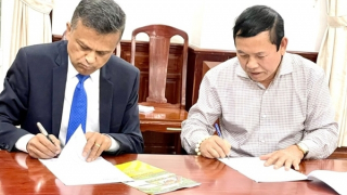 Đưa thông tin gian dối về việc vay vốn, một giám đốc người nước ngoài bị giữ