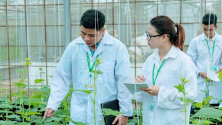 Cần tạo ra một “khoán 10” mới trong khoa học công nghệ