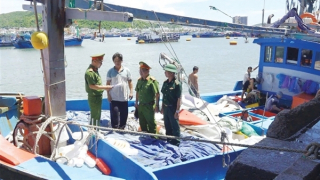 Tập trung thực hiện tháng cao điểm chống khai thác hải sản bất hợp pháp