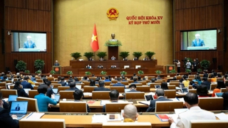 Cử tri ghi nhận lực lượng Công an tấn công mạnh mẽ tội phạm lừa đảo qua mạng, buôn bán hàng giả