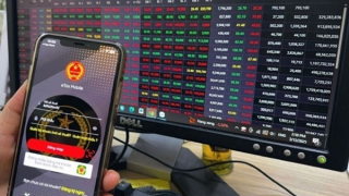 Chứng khoán chao đảo, VN-Index giảm gần 100 điểm