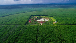 Từ “Phú Riềng Đỏ” đến khát vọng hội nhập - 96 năm bản lĩnh ngành Cao su Việt Nam