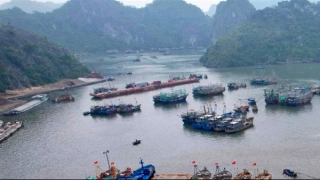 Khởi tố một Phó giám đốc doanh nghiệp vì cưỡng đoạt tài sản