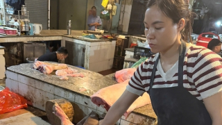 Khởi tố kỹ sư thú y cùng 2 đồng phạm bán lợn nhiễm vi rút dịch tả lợn Châu Phi