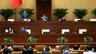 Nhà nước hỗ trợ về thuế, tín dụng, đất đai cho doanh nghiệp gặp khó khăn trong sản xuất, kinh doanh