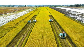 Sản xuất giảm phát thải, hướng tới nông nghiệp xanh