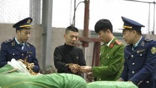 Cao Bang Provincial Police Department intensifies anti-smuggling efforts
