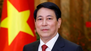 Chủ tịch nước Lương Cường sẽ tham dự Tuần lễ Cấp cao APEC lần thứ 32