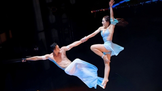 Xiếc Việt - "Càng cao danh vọng, càng dày chông gai"