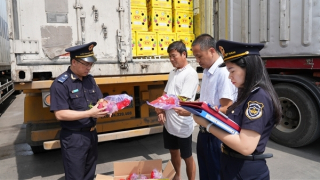 Hiện thực hóa hải quan thông minh