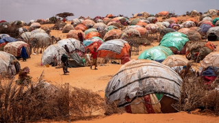 Khủng hoảng lương thực châu Phi: Báo động đỏ cho an ninh lương thực toàn cầu
