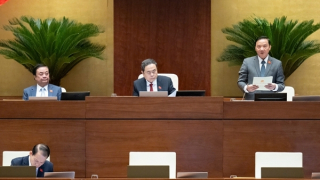 Đẩy mạnh phân cấp, phân quyền trong thi hành án hình sự, tạm giữ tạm giam, cấp lý lịch tư pháp