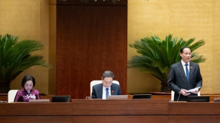 5 nhóm chính sách mới trong Luật Sở hữu trí tuệ sửa đổi