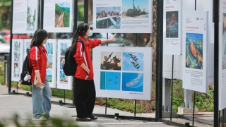 Bức ảnh chưa từng tồn tại và hành trình níu giữ ký ức bằng công nghệ