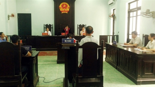 Số lượng các vụ việc tăng, chất lượng vụ việc trợ giúp pháp lý ngày càng nâng lên