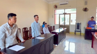 Phạt tù 2 thuyền trưởng đưa tàu cá đi khai thác trái phép