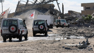 Hamas trao trả thêm thi thể con tin cho Israel giữa lệnh ngừng bắn mong manh tại Gaza