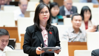 Đổi mới tư duy và hoàn thiện thể chế, chính sách về bảo vệ môi trường