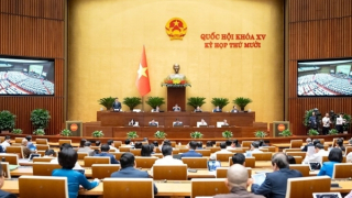 Thị trường vàng phức tạp, bạo lực học đường, bạo hành nhân viên y tế gây bức xúc