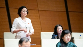 Xây dựng lộ trình cải cách tiền lương phù hợp, báo cáo Trung ương Quý I/2026