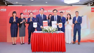 MSB đạt chứng nhận ACCA Approved Employer: Khẳng định cam kết phát triển Nhân sự bền vững