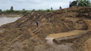 Bờ sông bị đào bới tan hoang để tìm gỗ quý