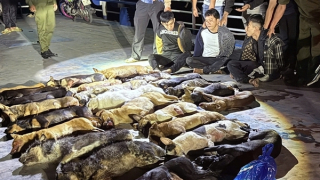 Nhóm thanh niên bắn trộm 24 con chó trong đêm đã "sa lưới"