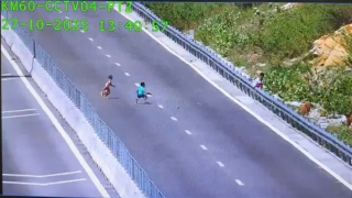 3 thiếu niên ra giữa đường cao tốc đùa giỡn, ném đá