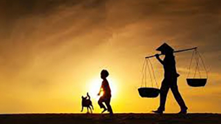 Theo mẹ, con đi lẫm chẫm dòng đời...