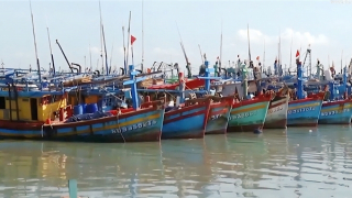 Thúc đẩy phát triển nghề cá bền vững và tuân thủ các quy định quốc tế