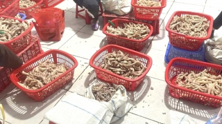 3,5 tấn chân gà "bẩn" ở Lạng Sơn chưa kịp lên bàn nhậu đã bị thu giữ