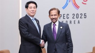 Phát triển hơn nữa quan hệ thực chất Việt Nam-Brunei