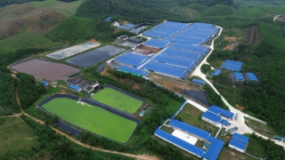 Thanh Hóa: Yêu cầu chủ trại lợn ASEAN xử lý dứt điểm mùi hôi phát tán ra môi trường