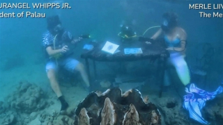 Cuộc phỏng vấn dưới đáy đại dương