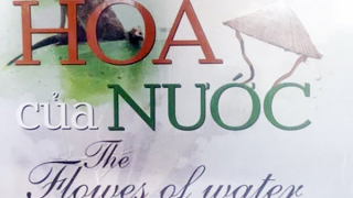 Trầm lắng sử thi “Hoa của nước”: Đi theo hoa cho màu hoa tươi thắm mãi