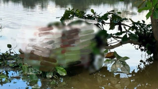 Phát hiện thi thể nam thanh niên bị lũ cuốn mắc trên cành cây