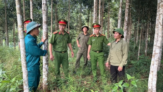 Bài 1: Những tấm gương tiên phong làm kinh tế, góp phần giữ vững ANTT tại cơ sở