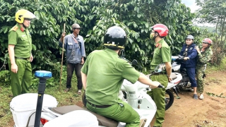 Bảo đảm an ninh cho mùa cà phê bội thu